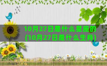 10月27日是什么星座的(10月27日是什么生肖)