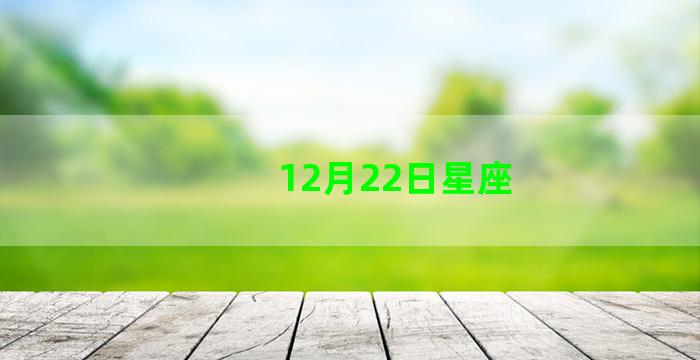 12月22日星座