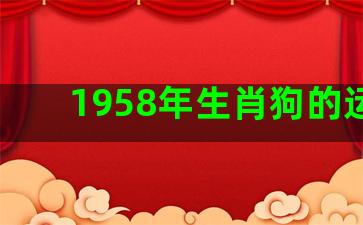 1958年生肖狗的运势