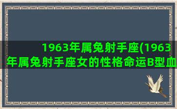 1963年属兔射手座(1963年属兔射手座女的性格命运B型血)