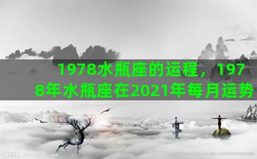 1978水瓶座的运程，1978年水瓶座在2021年每月运势