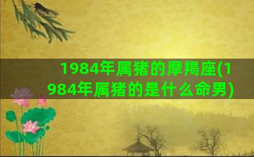 1984年属猪的摩羯座(1984年属猪的是什么命男)