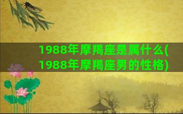 1988年摩羯座是属什么(1988年摩羯座男的性格)