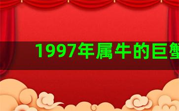 1997年属牛的巨蟹座