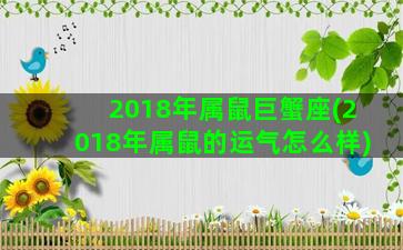 2018年属鼠巨蟹座(2018年属鼠的运气怎么样)