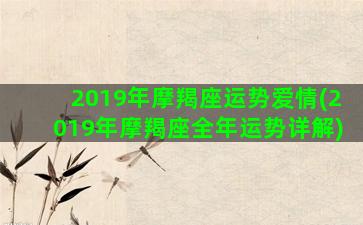 2019年摩羯座运势爱情(2019年摩羯座全年运势详解)