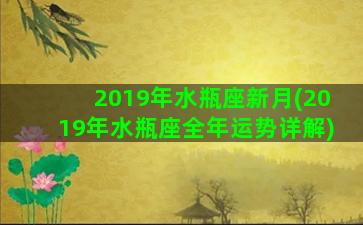 2019年水瓶座新月(2019年水瓶座全年运势详解)