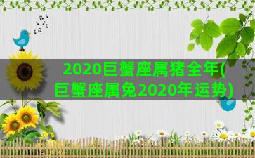 2020巨蟹座属猪全年(巨蟹座属兔2020年运势)