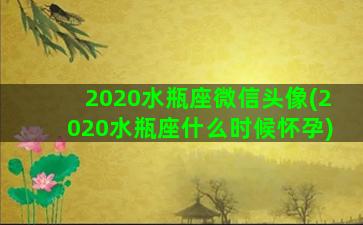 2020水瓶座微信头像(2020水瓶座什么时候怀孕)