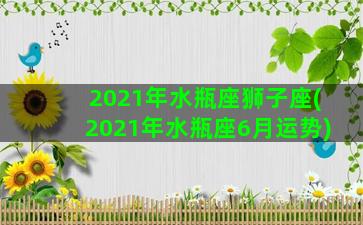 2021年水瓶座狮子座(2021年水瓶座6月运势)