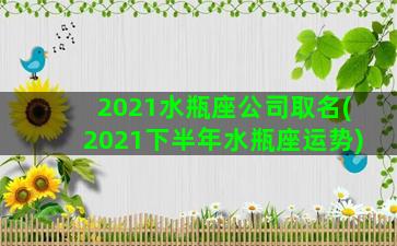 2021水瓶座公司取名(2021下半年水瓶座运势)