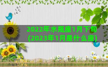 2022年水瓶座1月下旬(2023年1月是什么座)