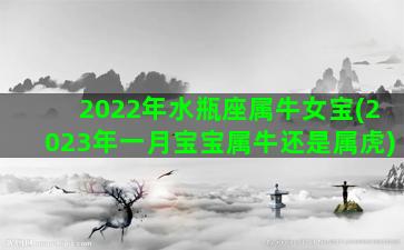 2022年水瓶座属牛女宝(2023年一月宝宝属牛还是属虎)