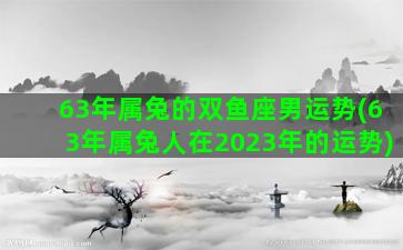 63年属兔的双鱼座男运势(63年属兔人在2023年的运势)