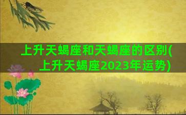 上升天蝎座和天蝎座的区别(上升天蝎座2023年运势)