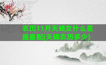 农历11月天蝎女什么星座最配(天蝎农历多少)