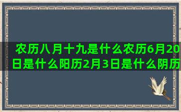 农历八月十九是什么农历6月20日是什么阳历2月3日是什么阴历7月12日是什么农历3月19日是什么七月十五号什么农历12月13日是什么第一星座网姓名测试(农历八月