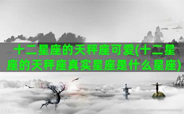 十二星座的天秤座可爱(十二星座的天秤座真实星座是什么星座)