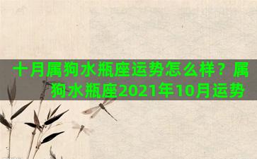 十月属狗水瓶座运势怎么样？属狗水瓶座2021年10月运势