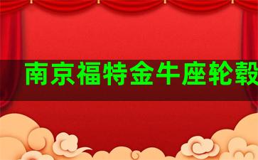 南京福特金牛座轮毂改装