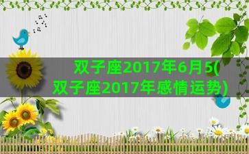 双子座2017年6月5(双子座2017年感情运势)