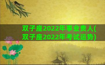 双子座2022年事业贵人(双子座2022年考试运势)