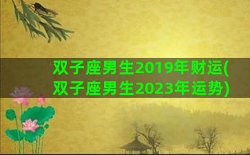 双子座男生2019年财运(双子座男生2023年运势)