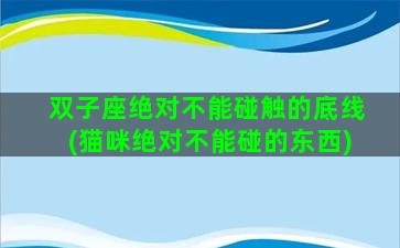 双子座绝对不能碰触的底线(猫咪绝对不能碰的东西)