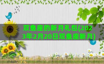 双鱼座的新月礼包(2023年2月20日双鱼座新月)