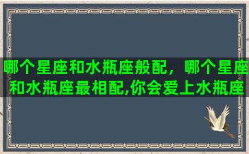 哪个星座和水瓶座般配，哪个星座和水瓶座最相配,你会爱上水瓶座吗？