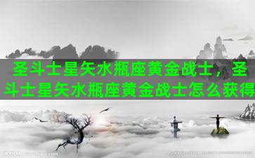 圣斗士星矢水瓶座黄金战士，圣斗士星矢水瓶座黄金战士怎么获得