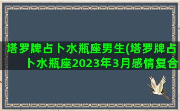 塔罗牌占卜水瓶座男生(塔罗牌占卜水瓶座2023年3月感情复合运势)