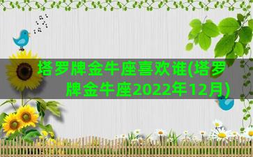 塔罗牌金牛座喜欢谁(塔罗牌金牛座2022年12月)