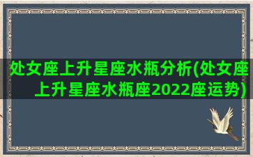 处女座上升星座水瓶分析(处女座上升星座水瓶座2022座运势)