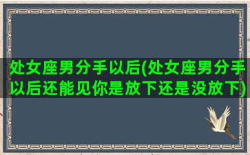 处女座男分手以后(处女座男分手以后还能见你是放下还是没放下)