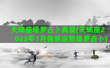 天蝎座塔罗占卜真爱(天蝎座2023年1月情感运势塔罗占卜)