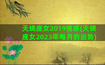 天蝎座女2019情感(天蝎座女2023年每月的运势)