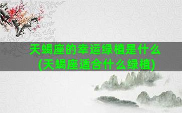 天蝎座的幸运绿植是什么(天蝎座适合什么绿植)