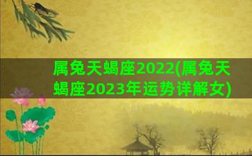 属兔天蝎座2022(属兔天蝎座2023年运势详解女)