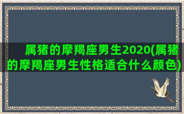 属猪的摩羯座男生2020(属猪的摩羯座男生性格适合什么颜色)