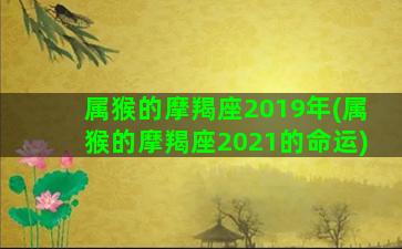 属猴的摩羯座2019年(属猴的摩羯座2021的命运)