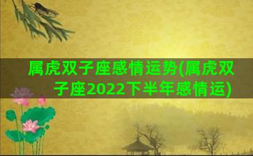 属虎双子座感情运势(属虎双子座2022下半年感情运)