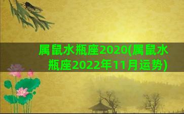 属鼠水瓶座2020(属鼠水瓶座2022年11月运势)