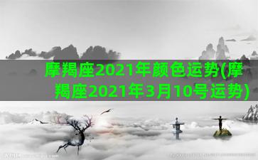 摩羯座2021年颜色运势(摩羯座2021年3月10号运势)