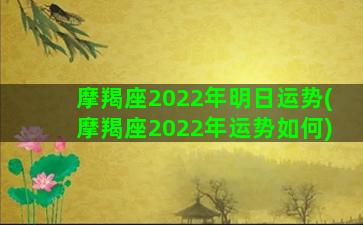 摩羯座2022年明日运势(摩羯座2022年运势如何)