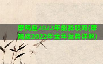 摩羯座2022年能辞职吗(摩羯座2022年全年运势详解)