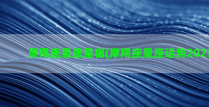 摩羯座星座星宿(摩羯座星座运势2023年运程)