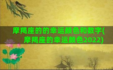 摩羯座的的幸运颜色和数字(摩羯座的幸运颜色2022)