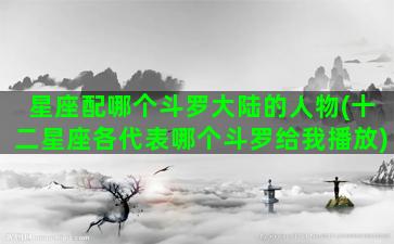 星座配哪个斗罗大陆的人物(十二星座各代表哪个斗罗给我播放)