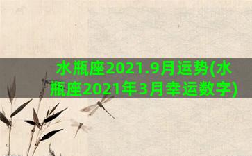 水瓶座2021.9月运势(水瓶座2021年3月幸运数字)